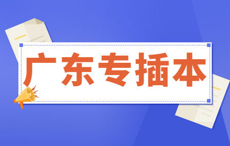 广东省专插本报考