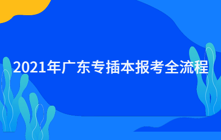 广东专插本报考全流程