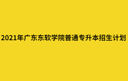 2021年广东东软学院普通专升本招生计划