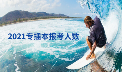 2021专插本报考人数