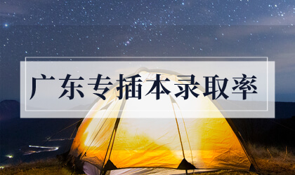 广东专插本录取率