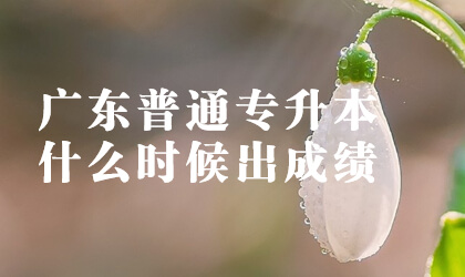 广东普通专升本什么时候出成绩
