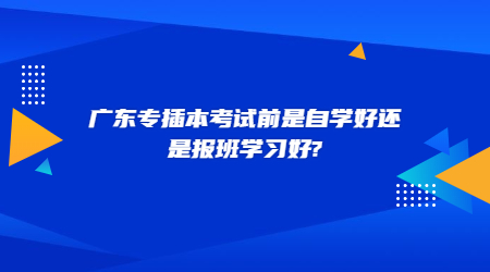 招生简章权威发布通知简约正式首图.jpg