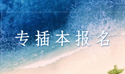 专插本报名