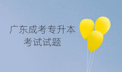 广东成考专升本考试试题