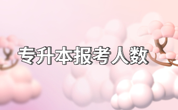专升本报考人数