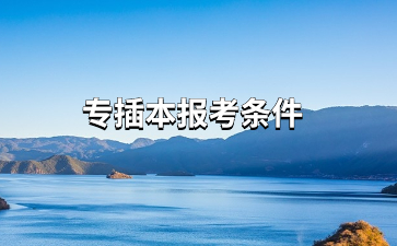 专插本报考条件