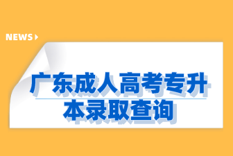 广东成人高考专升本录取查询