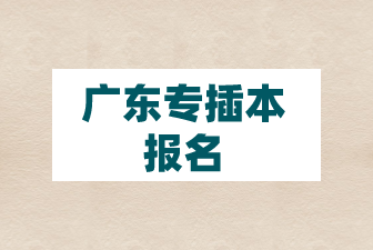广东专插本报名