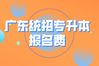 广东统招专升本报名费