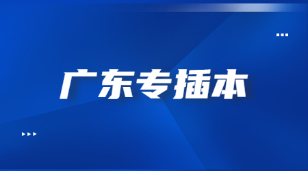 广东专插本