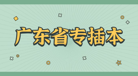 广东省专插本建档