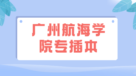 广州航海学院专插本招生专业