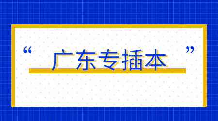 广东专插本报考