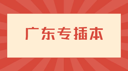 广东专插本