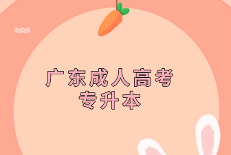 广东成人高考专升本