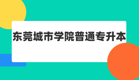 东莞城市学院普通专升本