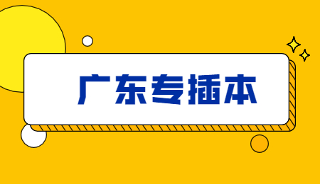 广东专插本