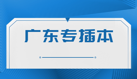 广东专插本