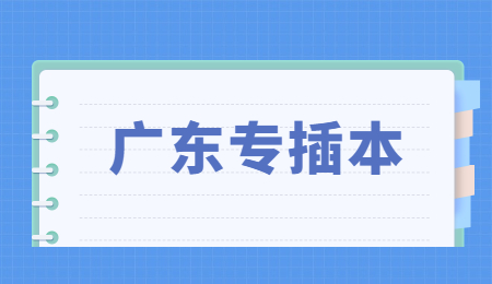 广东专插本