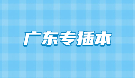 广东专插本