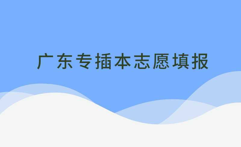 广东专插本志愿填报“我的分数和排位有多大机会?填哪所院校最稳?“