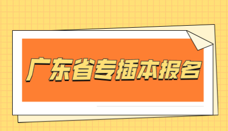 广东省专插本报名