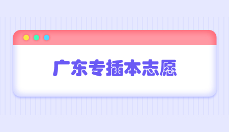 广东专插本志愿