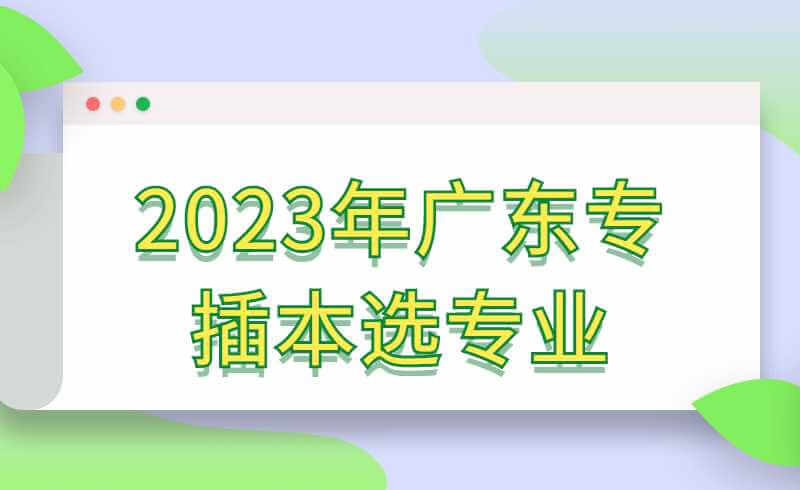 2023年广东专插本如何选专业?