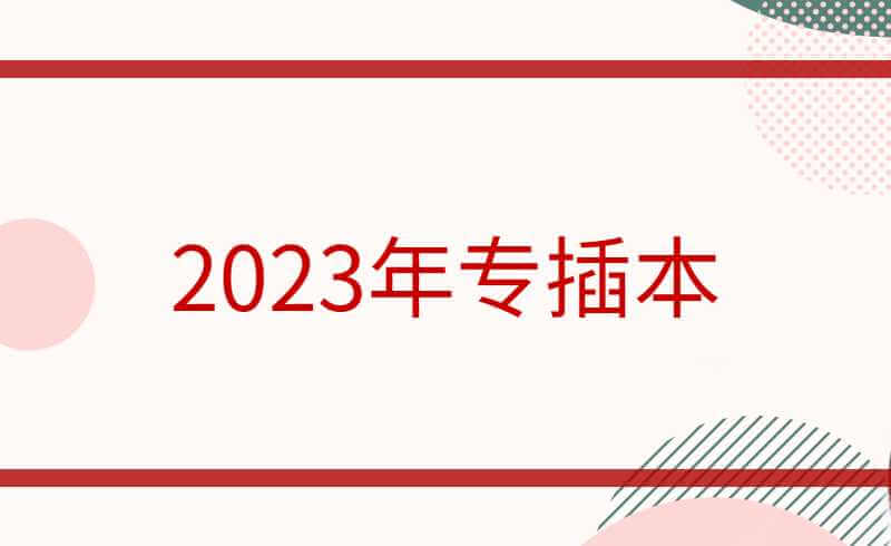 2023年新生：专插本“有手就行”?留三个月复习就够?