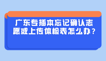 广东专插本