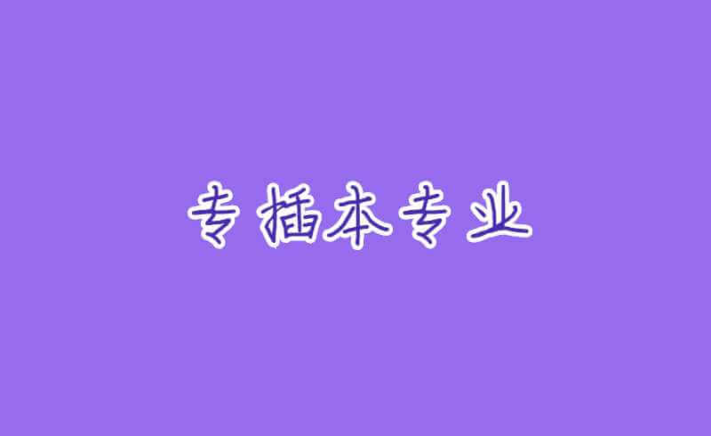 专插本上岸后最忙的几大专业!