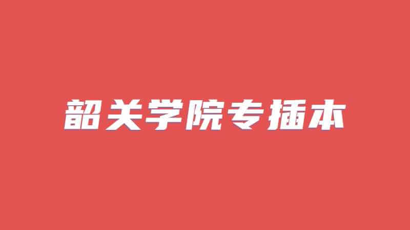 美术教育可以报考韶关学院专插本？