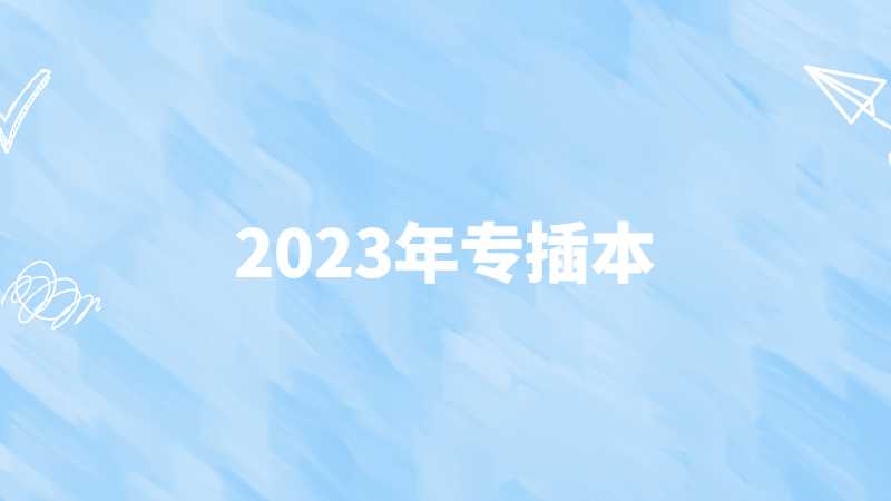 2023年专插本选这些专业，考公务员更有优势?