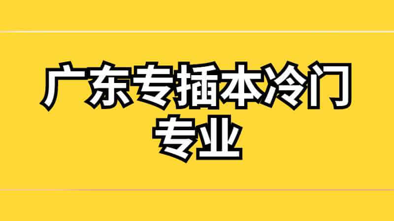 广东专插本都有哪些冷门专业?