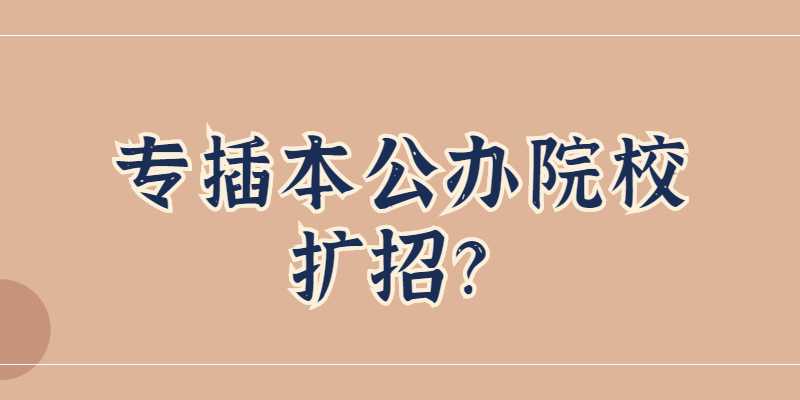 2023扩大招生?这4所专插本公办院校新建校区!