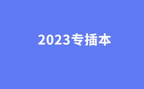 即将开始招生计划?多校启动2023专插本招生工作!