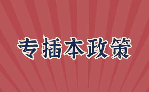 2023年专插本政策还会调整吗?对比今年与去年改革!