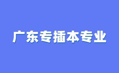 2023考生参考！广东专插本这个专业不用考公共英语！