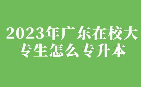 汕尾专升本：2023年广东在校大专生怎么专升本？