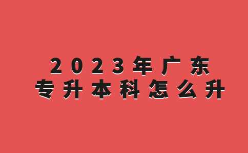 2023年广东专升本科怎么升？升本汇总！