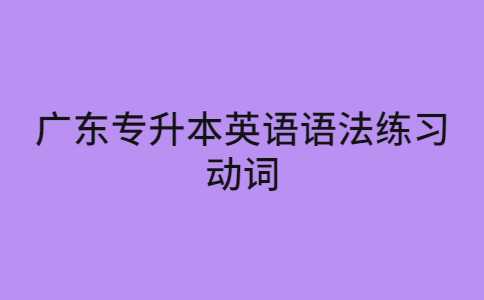 2023年广东专升本英语语法练习——动词