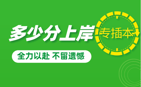 广东专插本