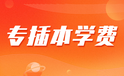 简约卡通教育资讯新闻发布横版海报banner(2).jpg