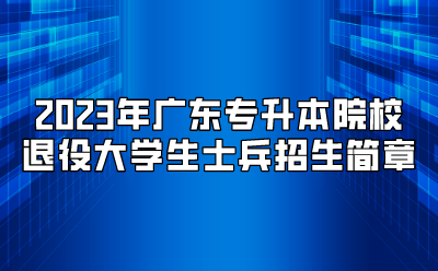 2023年广东东软学院普通高等学校专升本退役大学生士兵招生简章