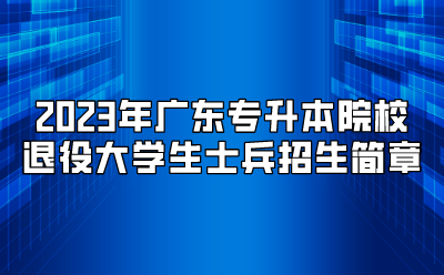 2023年深圳技术大学退役大学生士兵普通专升本招生简章