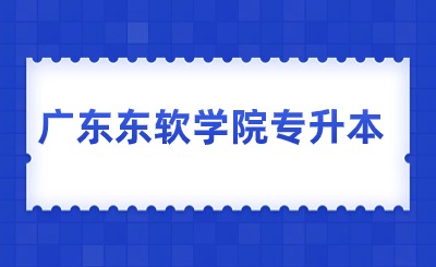 广东东软学院专升本