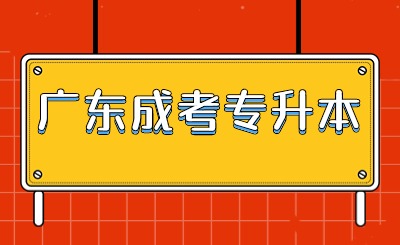 广东成考专升本准考证打印