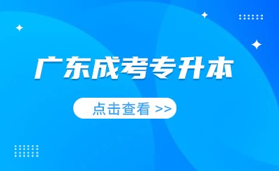 广东成考录取查询入口