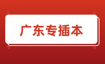 广东专插本